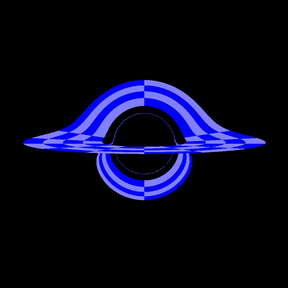 Disk at 85degrees around Schwarzschild Black Hole